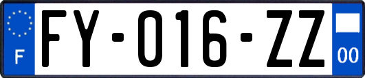 FY-016-ZZ