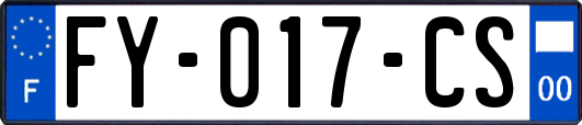 FY-017-CS