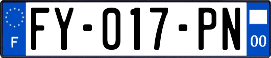 FY-017-PN