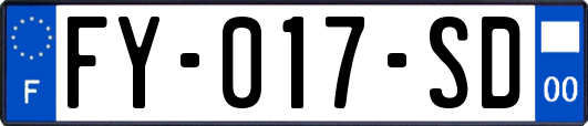 FY-017-SD