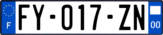 FY-017-ZN