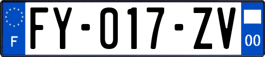 FY-017-ZV