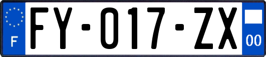 FY-017-ZX