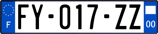 FY-017-ZZ