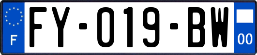 FY-019-BW