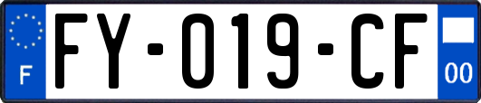 FY-019-CF