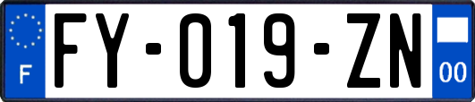 FY-019-ZN
