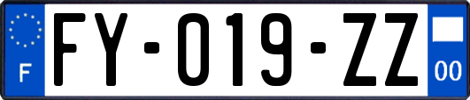 FY-019-ZZ
