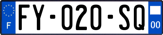 FY-020-SQ