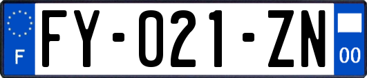 FY-021-ZN