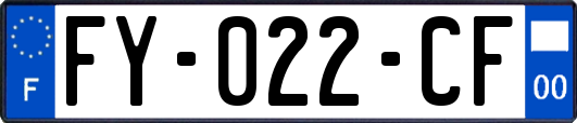 FY-022-CF