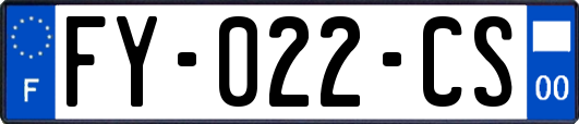 FY-022-CS
