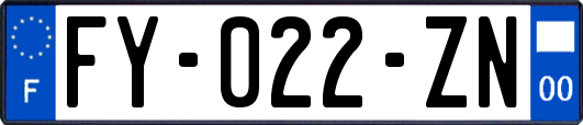 FY-022-ZN