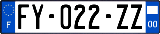 FY-022-ZZ