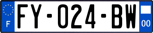 FY-024-BW