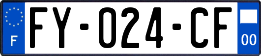 FY-024-CF