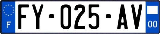 FY-025-AV