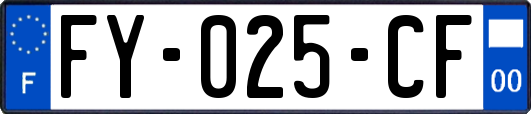 FY-025-CF