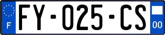 FY-025-CS