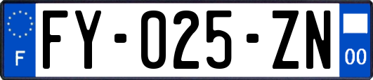 FY-025-ZN