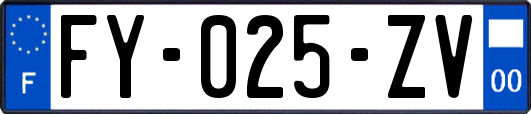 FY-025-ZV