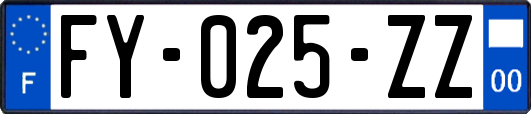 FY-025-ZZ