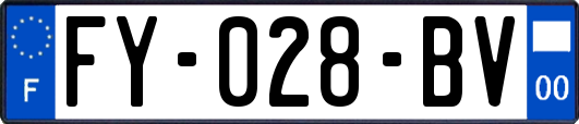 FY-028-BV