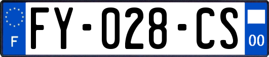 FY-028-CS
