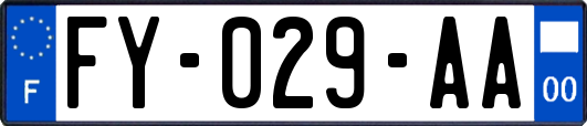 FY-029-AA