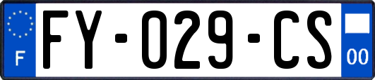 FY-029-CS