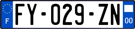 FY-029-ZN