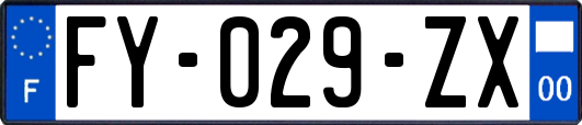 FY-029-ZX