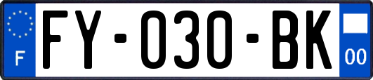 FY-030-BK