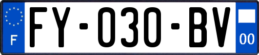FY-030-BV