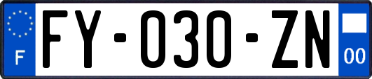 FY-030-ZN