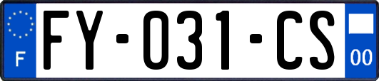 FY-031-CS
