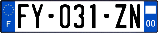 FY-031-ZN