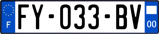 FY-033-BV