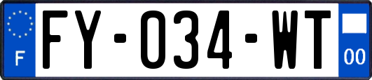FY-034-WT