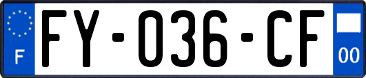 FY-036-CF