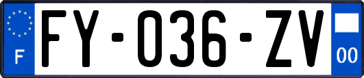 FY-036-ZV