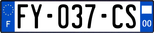 FY-037-CS