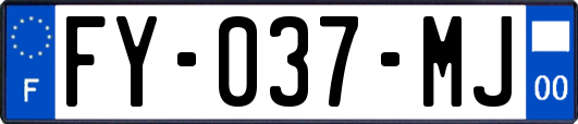 FY-037-MJ