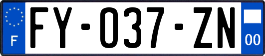 FY-037-ZN