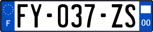 FY-037-ZS