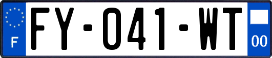 FY-041-WT