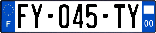FY-045-TY