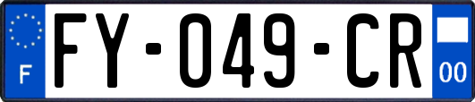 FY-049-CR