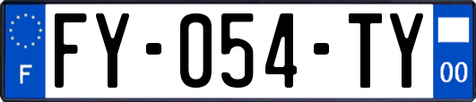 FY-054-TY
