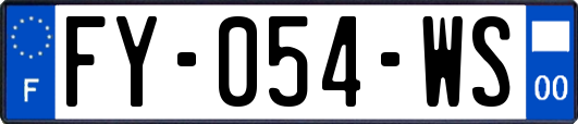 FY-054-WS